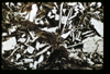 ap1601_04_13