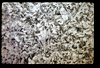 ap1601_08_07