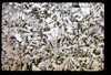 ap1601_08_09