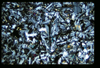 ap1601_08_10
