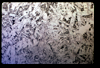 ap1601_08_11