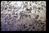 ap1601_08_14