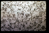 ap1601_08_17