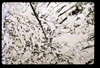 ap1601_08_19