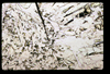 ap1601_09_01