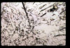 ap1601_09_02
