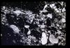 ap1601_10_06