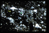 ap1601_10_07