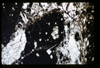 ap1601_10_17