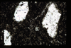 ap1601_11_03