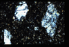 ap1601_11_04