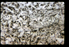 ap1601_12_12