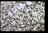 ap1601_12_14