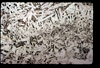 ap1601_12_16