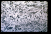ap1601_13_01