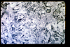 ap1601_13_05
