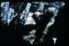 ap1601_13_12