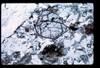 ap1601_13_13