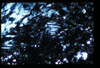ap1601_13_14