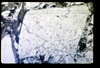ap1601_13_15