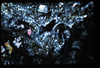 ap1601_13_18
