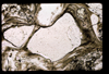 ap1601_14_01