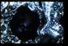 ap1601_14_15