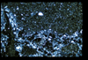 ap1601_15_17