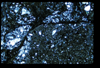 ap1601_15_19