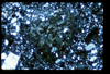ap1601_16_06