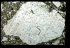 ap1601_16_13