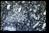 ap1601_17_05