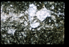 ap1601_17_07