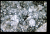 ap1601_17_13