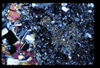 ap1602_01_02