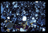 ap1602_01_04