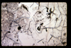 ap1602_01_15
