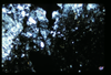 ap1602_01_16