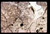 ap1602_01_17