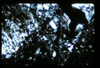 ap1602_01_18