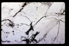 ap1602_01_19