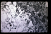 ap1602_02_03