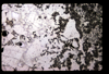 ap1602_02_05