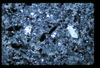 ap1602_02_10