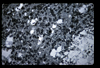 ap1602_02_11