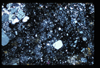 ap1602_02_16