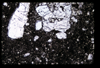 ap1602_03_03