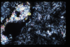 ap1602_03_13