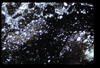ap1602_03_14