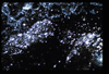 ap1602_03_15